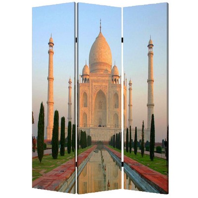 48'' X 72'' Multi Color Wood Canvas Taj Mahal Screen