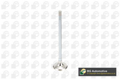 Exhaust Valve V165051 BGA 55355572 71744388 24405815 641391 641392  