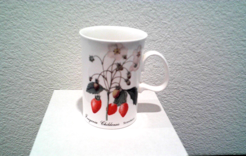 VTG Dunoon Fine China Cup Mug Fruit Srawberry Necture Pattern Made in England