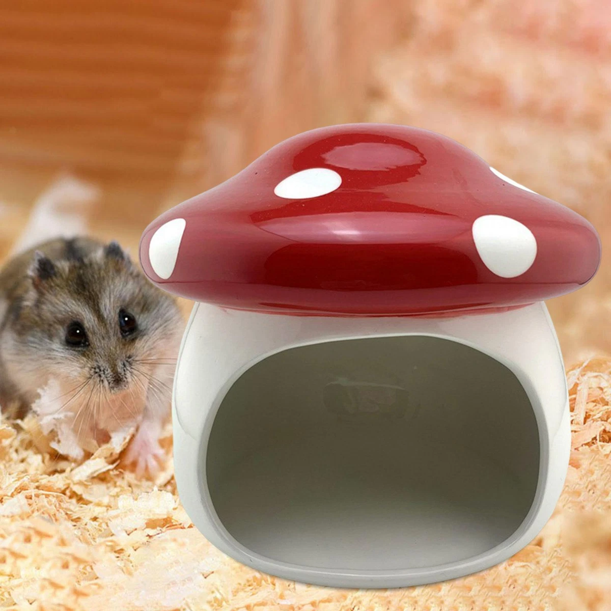 Mushroom hamster top
