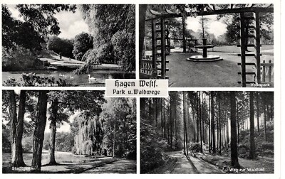 Postcard old blank Hagen Westfahlen park and forest paths