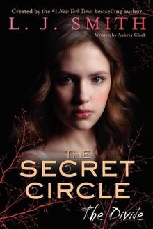 The Secret Circle: The Divide von L. J. Smith | Buch | Zustand gut