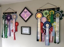 PERSONALISED  ROSETTE HOLDER Dog Show Rosette Rosette Hanger , Rosette Display.