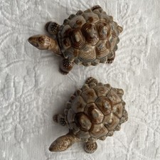 Wade Tortoise x 2 