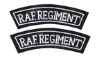 WW2 British Army Airforce RAF Regiment Shoulder Sleeve Badge Patch