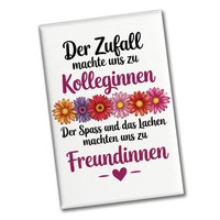 Beste Kollegin Souvenir Magnet Mit Spruch Nicht Nur Kolleginnen Sondern