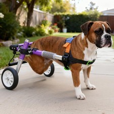 Small Dog Wheelchair Rear Leg Support Adjustable Mobility Cart for Injured Dogs