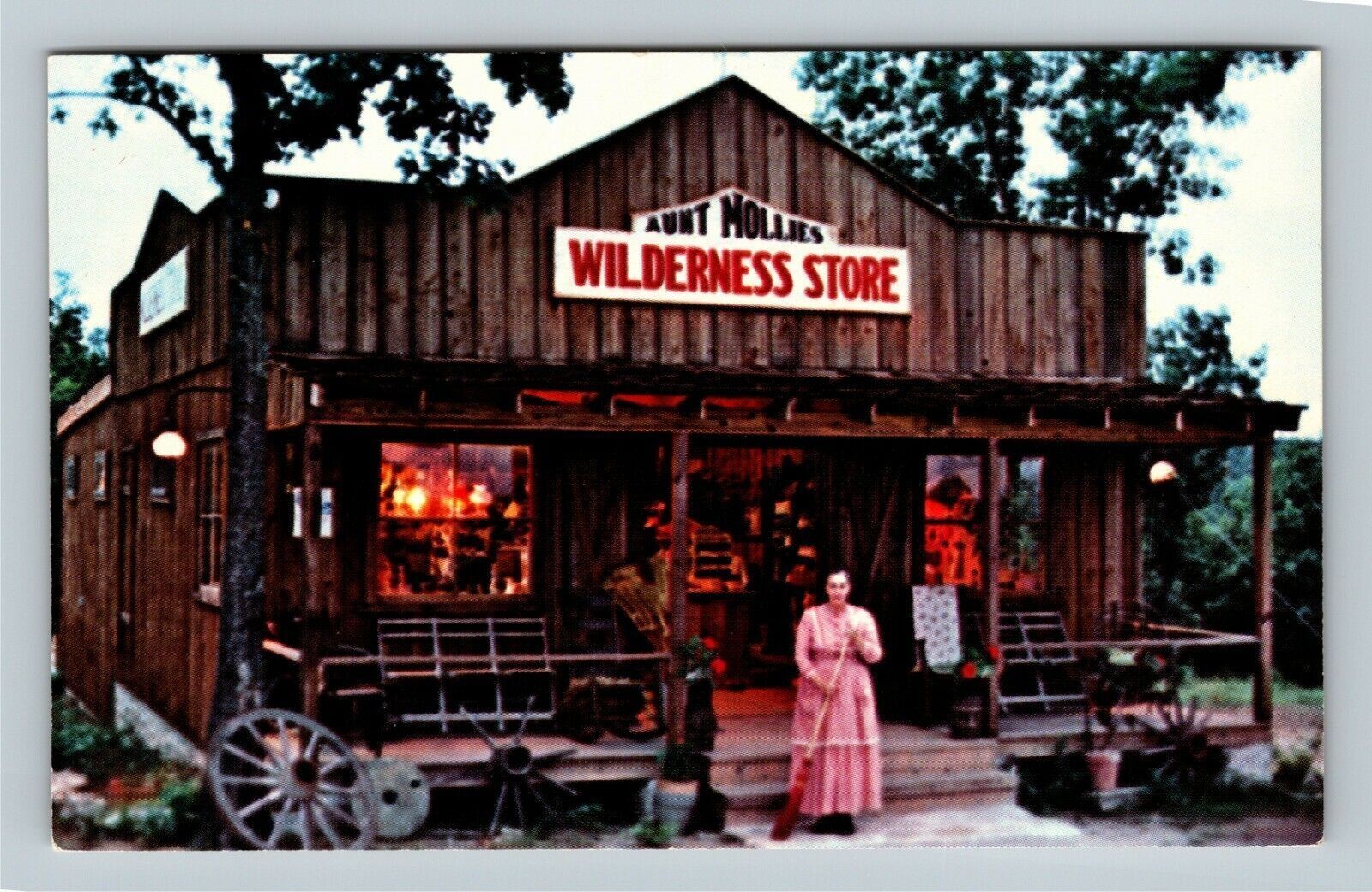 Branson MO, Aunt Mollie, Wilderness Store, Missouri Vintage Postcard
