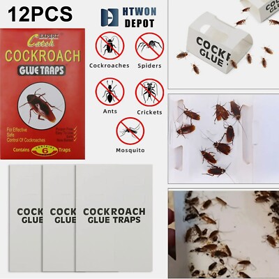 Buy 12 Pack Cockroach Trap, Cockroach Killer Indoor Home, Roach Bait Roach Killer Indoor Infestation Bug Insect Sticky Traps