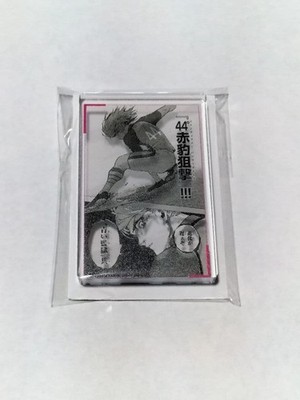 Blue Rock Donki Collaboration Acrylblock Chigiri Hyoma