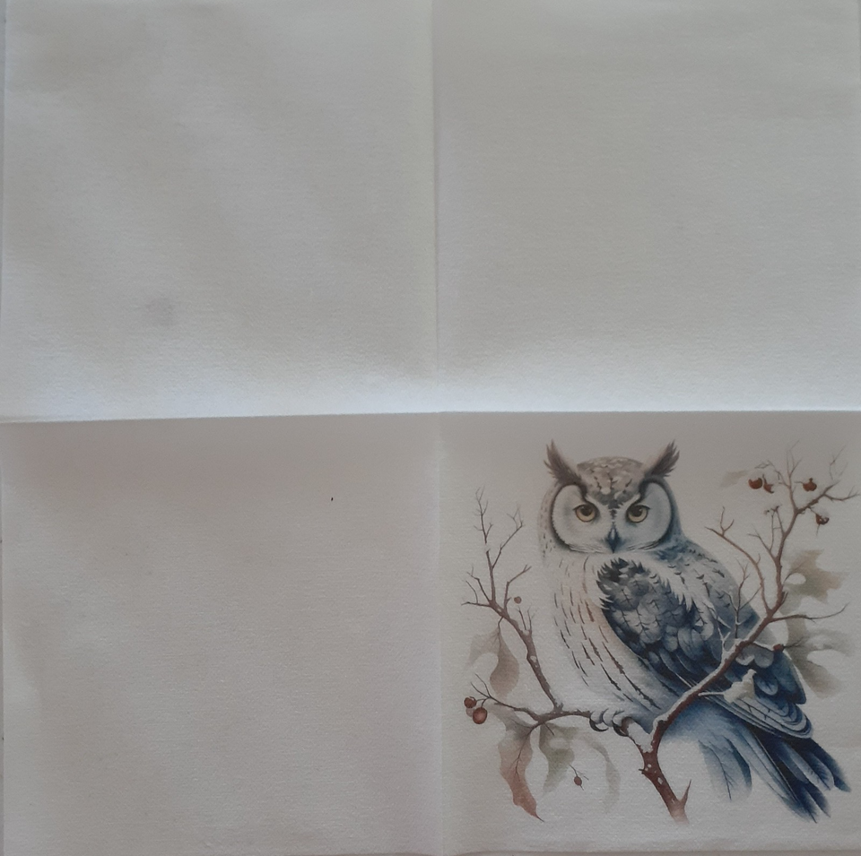 2 individual Paper Decoupage BEVERAGE NAPKINS -OWL BIRD COASTER SIZE, 1 ...