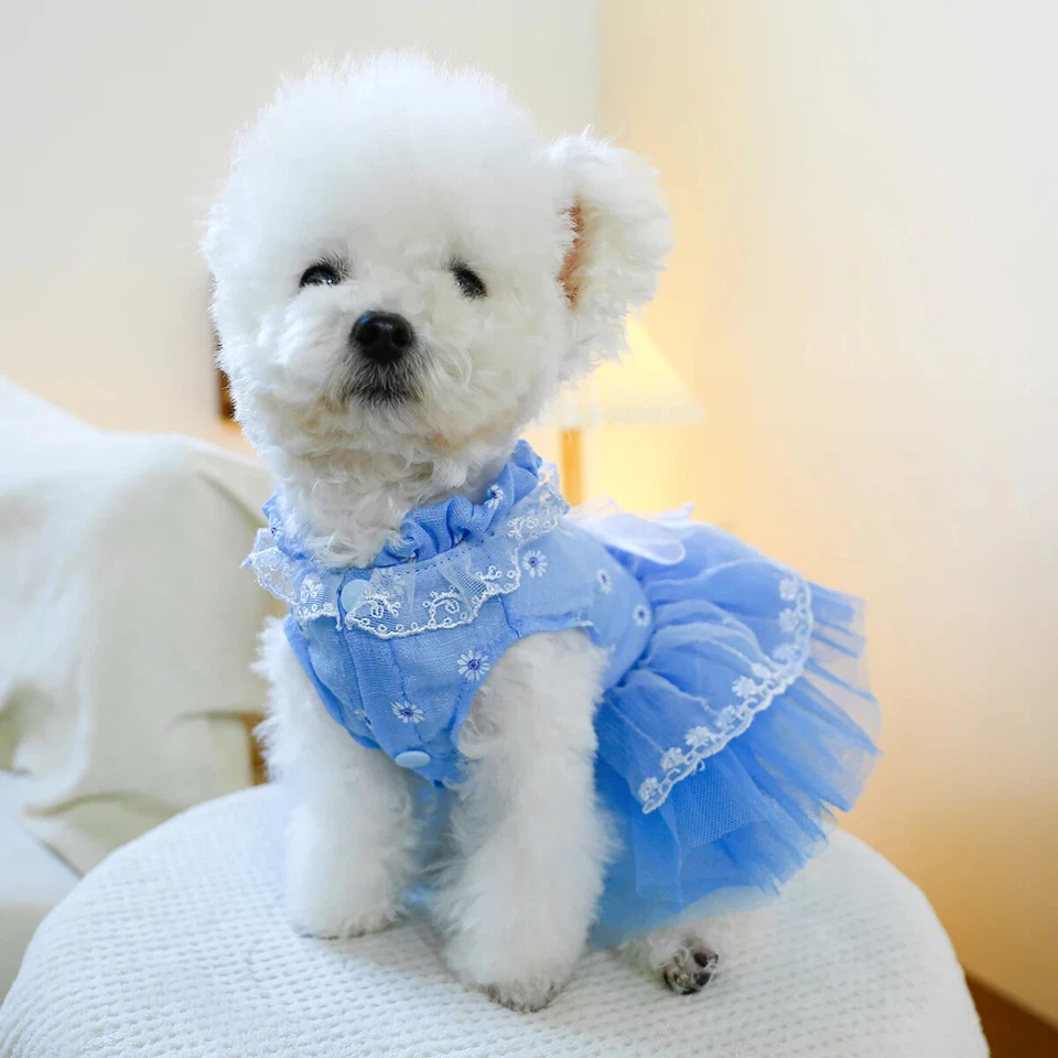 Pet Cat Dog Spring Summer Clothing Blue Bow Waltz Princess Dress for S M Dog Cat - Image 3 of 4