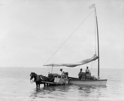 Key West Florida Horse & Wagon Sailboat Sea Coast Traders 8X10 Photo 1900