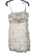 Sue Wong Nocturne Dress Platinum/Silver Sequins, Embroidered, Size 6