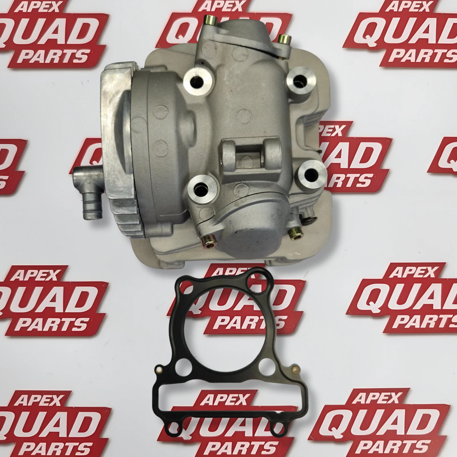 Honda TRX300 Front Diff Seal Kit