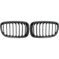 Designgrill Passend FüR Grill Satz BMW F20 Baujahr 11-15 Sport Performance