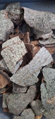 ALL THINGS NATURE Bark chunks for isopod tubs. Bioactive For Decorative Vivarium Biotope