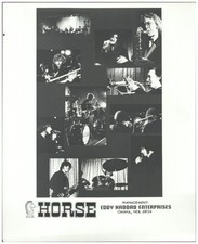 C1616/  The Horse US Rockgruppe Foto 25,5 x 20,5 cm ca.1968