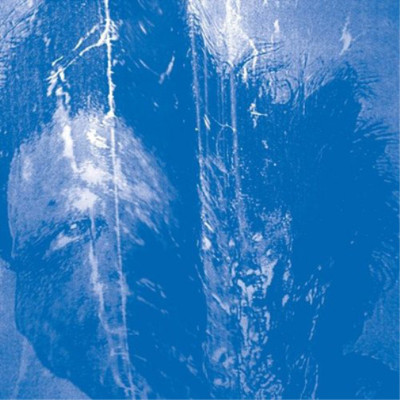 Secret Boyfriend This Is Always Where You've Lived (Vinyl) 12'' Album (UK IMPORT)