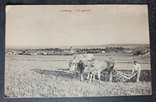 1919 postcard Cemboing Vue Generale Farmer Ox Cart  France posted