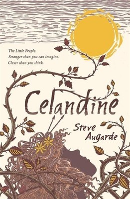 Celandine: The Touchstone Trilogy (The Various) by Augarde, Steve 0552549681