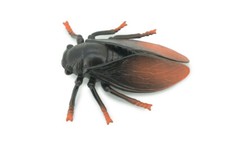 Cicada Toy Rubber Insect, Realistic Model Bug, Gift, 4 Inches AR21 B329