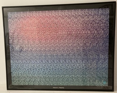 Vintage 1993 NVision Magic Eye Poster Nature s Majesty 28x22 Holusion