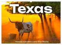 Texas - Howdy Aus Dem Lone Star State! (Wandkalender 2027 DIN A2 Quer), Calvendo