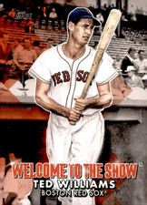 TED WILLIAMS INSERT 2022 TOPPS WELCOME TO THE SHOW #WTTS-32 BOSTON RED SOX HOF