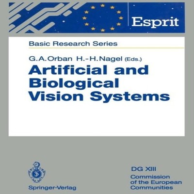 Artificial and Biological Vision Systems Springer Nature B.V. Pap
