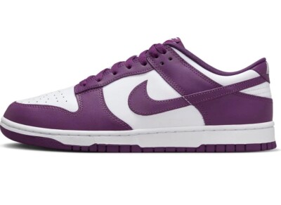 Size 10 - Nike Dunk Low Viotech White DV0833-107 No Lids | eBay