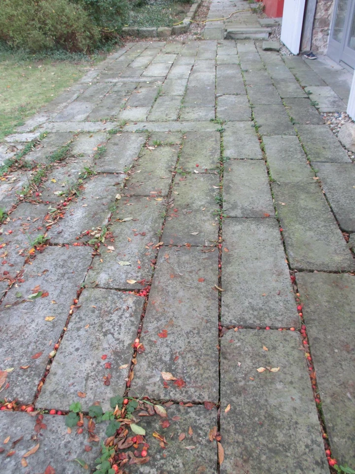  Sandsteinplatten, Terrassenplatten, Bodenplatten, historisch, gebraucht - Bild 3 von 3