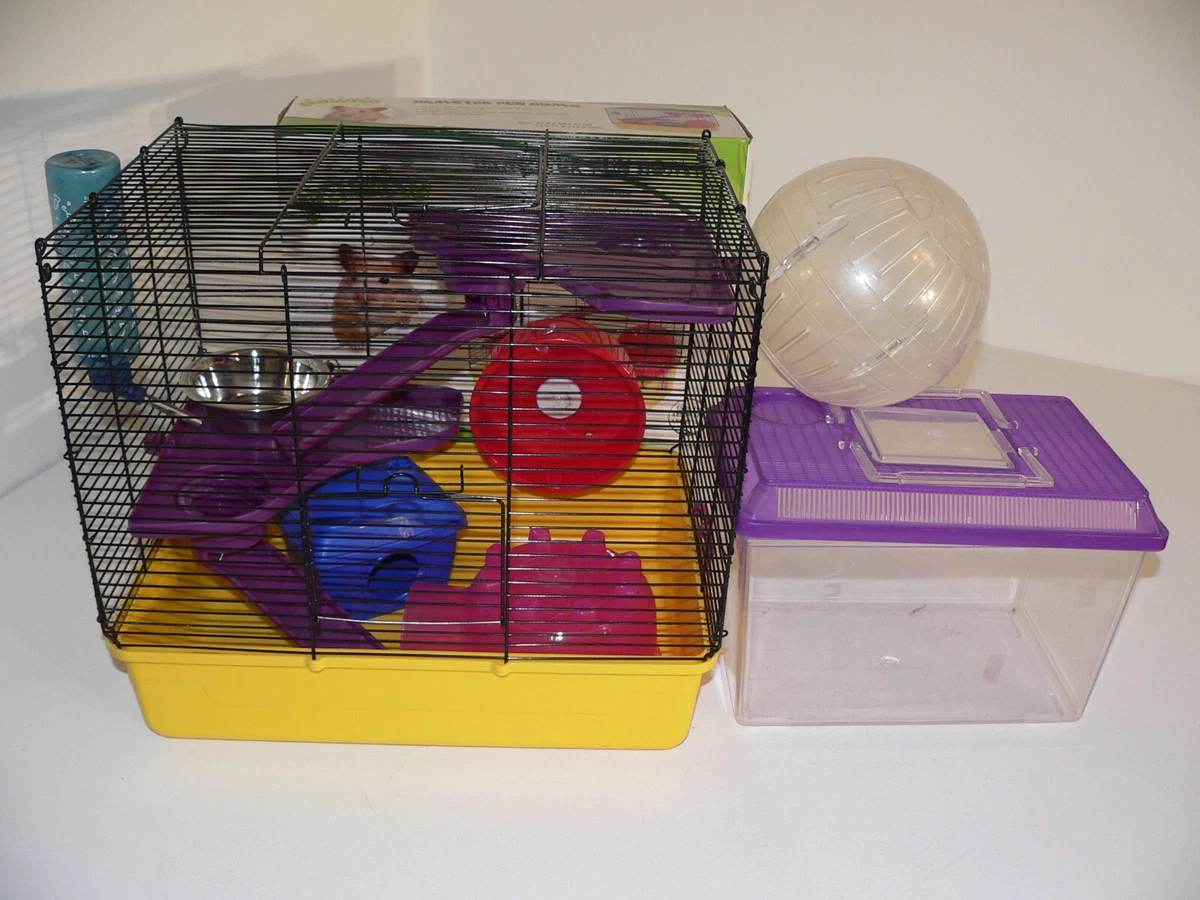 Hamster fun house 2025