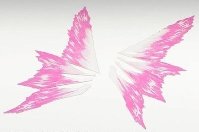 RG 1/144 Expansion effect unit  Wings of Light  for Destiny Gundam
