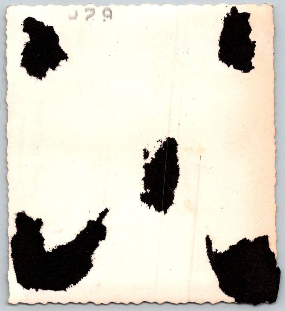Picture 2