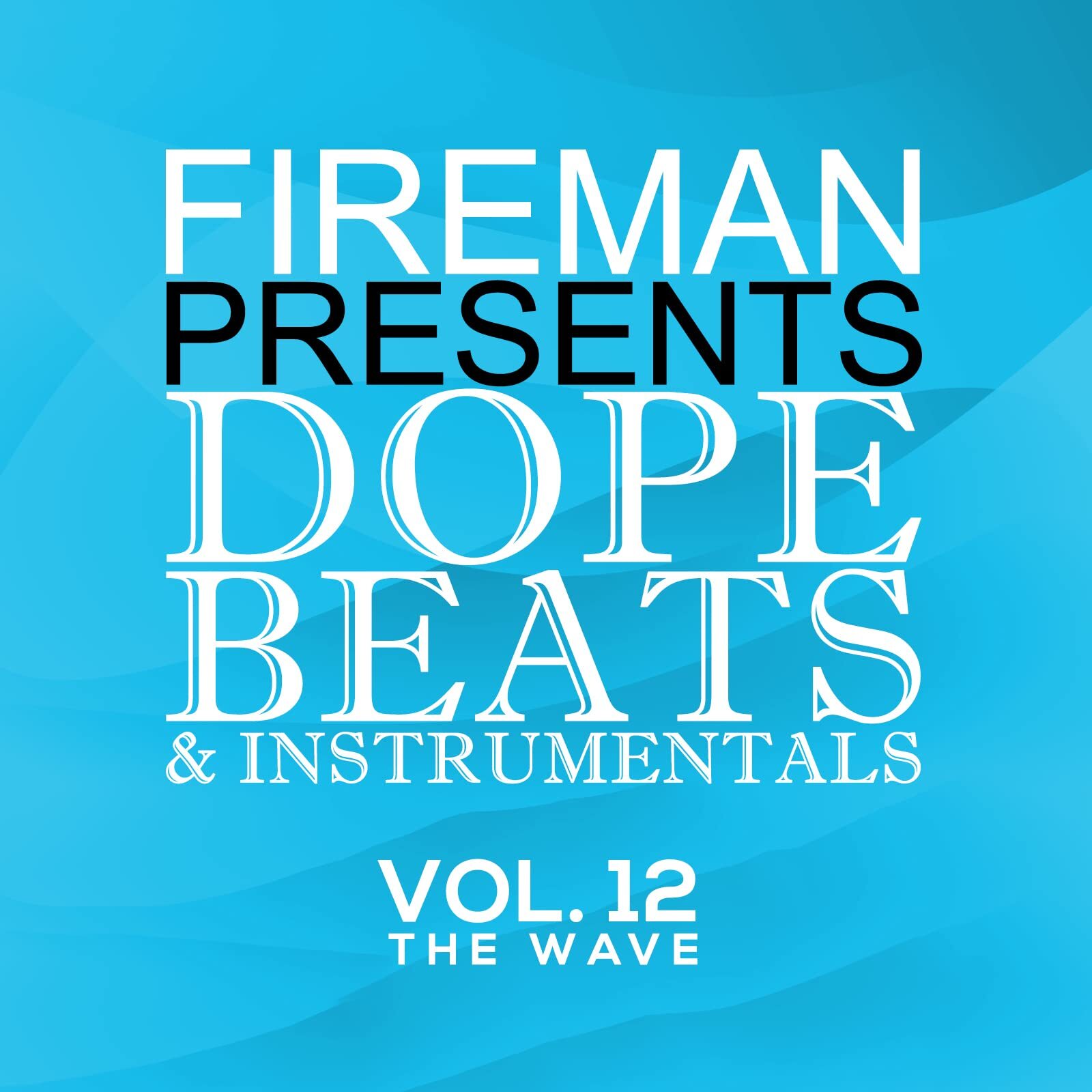 Various Fireman Presents Dope Beats And InstrumentalS 12 The Wave Various A (CD)