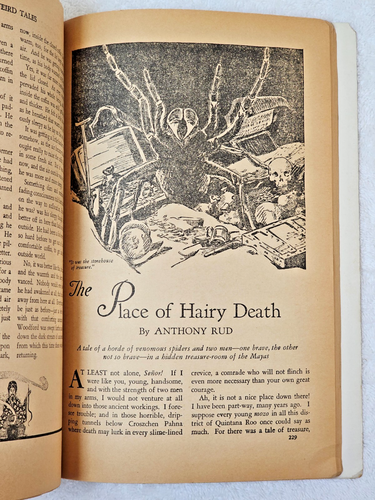 Weird Tales Pulp Magazine Feb 1934 VG Brundage Sapphire Goddess Robert E. Howard - Picture 21 of 24