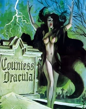 Countess Dracula 1971 Movie Poster Wall Art Horror