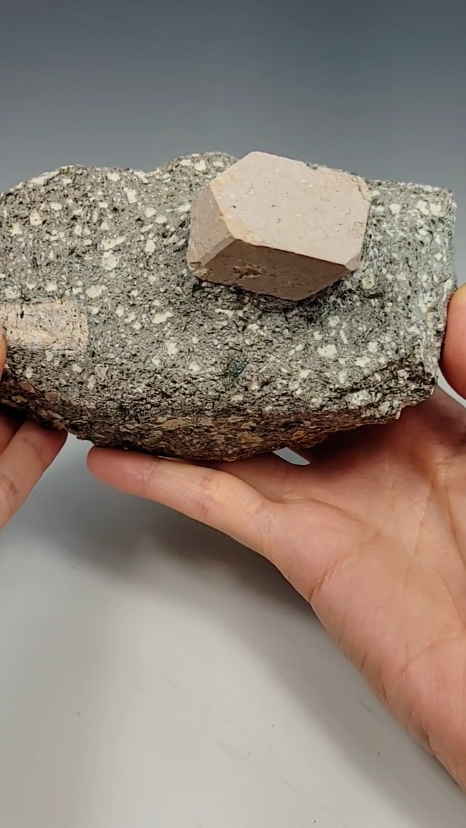 Orthoclase Feldspar Crystal on Matrix Jarilla Mountains New Mexico