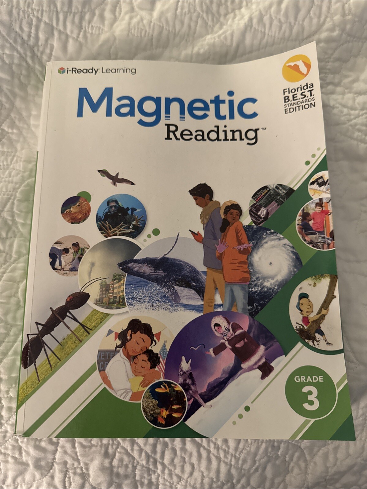 iReady Reading Grade 3 Florida B.E.S.T. Standards Edition eBay