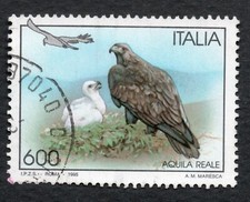 Italia 1995 Aquila reale animali animals uccelli birds pray Golden Eagles rapaci