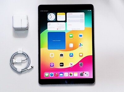 Apple iPad Pro 10.5'' A1701 256GB Wi-Fi Space Gray|Good Condition| Clean & Tested