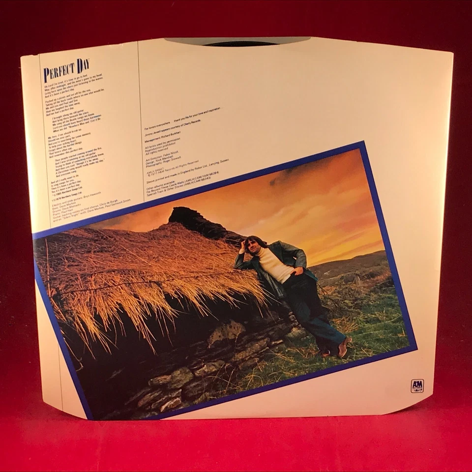 CHRIS DE BURGH At The End Of A Perfect Day 1977 UK PROMO Vinyl LP + INNER EXCELL - Bild 4 von 4