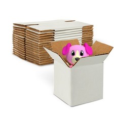 MT Products White Corrugated Cardboard Shipping Boxes 5" x 5" x 5" - Pack of 10