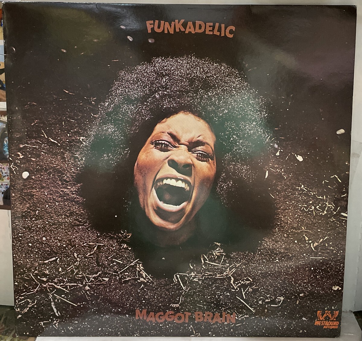 Funkadelic Maggot Brain UK Import Reissue Record SEW002 | eBay