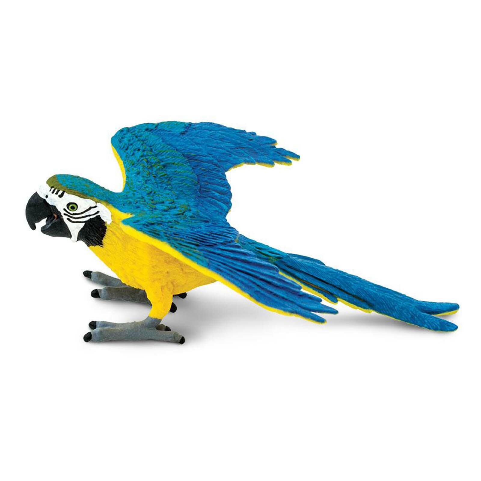 Blue And Gold Macaw Wings Of The World Birds Figure Safari Ltd NEW Toys
