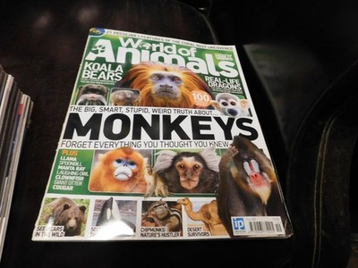 World Of Animals Magazine by How It Works Magazine  Issue # 19
