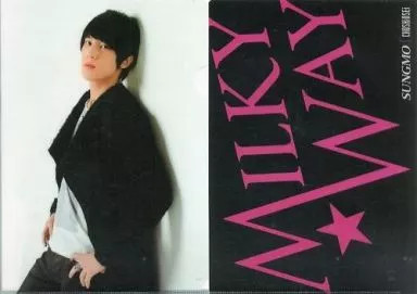 SuperJunior Sungmo A4 Clear File - K-pop Idol Fan Item