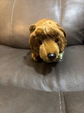 Webkinz Endangered Brown Bear WKSE3006