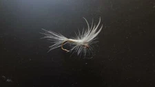 1 DOZ DF-5 THORAX DUN BLUE WING OLIVE (SELECT YOUR SIZE) DRY FLY